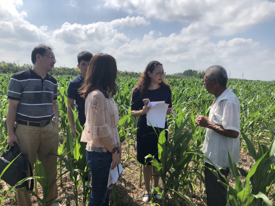 1683528004457430.jpg?x-oss-process=style/w10 43d5eed8b057ca8f8ab932928f4b526.jpg?x-oss-process=style/w10